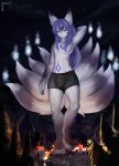 anthro bottomwear bulge canid canine clothing deity fox girly hi_res macro male mammal multi_tail pants paws solo solutionwcs tail underwear