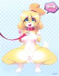  2020 animal_crossing anthro breasts canid canine canis collar domestic_dog female fur genitals hair hi_res isabelle_(animal_crossing) leash mammal nintendo open_mouth pussy shih_tzu solo tongue tongue_out toy_dog tsampikos video_games yellow_body yellow_fur 