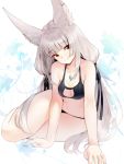  animal_ears cleavage niyah songchuan_li tagme xenoblade xenoblade_chronicles_2 