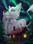 anthro aurora_(phenomenon) blue_eyes brown_body brown_fur cabin canid canine canis chest_tuft chimney crazymangak detailed_background digital_media_(artwork) duo extreme_size_difference flower fur gesture grass hand_gesture hi_res larger_anthro larger_male macro male mammal multicolored_body multicolored_fur night nude orange_eyes outside plant pointing pointing_up size_difference sky smaller_anthro smaller_male smile star starry_sky tail tan_body tan_fur tree tuft two_tone_body two_tone_fur white_body white_fur wolf