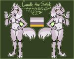  2020 5:4 5_fingers anthro border candle_the_saluki canid canine canis digital_media_(artwork) domestic_dog esprit-arait eyelashes female fingers fur green_border grey_body grey_fur hunting_dog mammal model_sheet saluki sighthound simple_background 