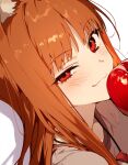  1girl :3 ai-assisted animal_ear_fluff animal_ears apple blush brown_hair brown_shirt close-up closed_mouth commentary drop_shadow eatsleep1111 food from_side fruit highres holding holding_food holding_fruit holo jewelry long_hair looking_at_viewer loose_hair_strand necklace pouch red_eyes shirt simple_background smile solo spice_and_wolf white_background wolf_ears wolf_girl 