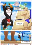 absurd_res anthro beach bulge canid canine canis clothing comic domestic_dog folsky hi_res male mammal outside speedo sport swimwear tongue tongue_out volleyball