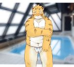  2020 anthro asian_clothing belly blush bulge clothing east_asian_clothing felid fundoshi hi_res humanoid_hands inuryu japanese_clothing kemono male mammal moobs navel overweight overweight_male pantherine solo tiger underwear 