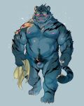 2024 anthro balls belly blush felid genitals heart_symbol kemono male mammal micropenis moobs musclegut muscular navel nekomarudon nipples overweight overweight_male pantherine penis simple_background small_penis solo tanukimaru tiger