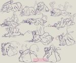  2020 breasts displacer felid feline female feral hyper hyper_nipples mammal nakoo nipples sketch 