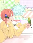  1girl :d absurdres bird bird_on_hand blue_eyes blush bright_pupils commentary eyebrows_hidden_by_hair eyelashes from_side go-toubun_no_hanayome green_bird hair_ornament hairclip hand_on_own_cheek hand_on_own_face hands_up highres leaf_hair_ornament lower_teeth_only mojyu_saico multicolored_background nakano_ichika open_mouth parrot parted_bangs pink_hair school_uniform short_hair sidelocks simple_background sleeves_past_wrists smile solo speech_bubble straight_hair sweater swept_bangs teeth upper_body yellow_sweater 