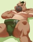  2020 anthro belly brown_body brown_fur bulge canid canine canis domestic_dog eyes_closed fur hi_res humanoid_hands kemono lying male mammal moobs nipples overweight overweight_male scar solo sumo tokyo_afterschool_summoners video_games yasuyori 柴虎良 