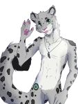  3:4 absurd_res felid hi_res jewelry mammal necklace nekoeko pantherine pinkangemalt rosettes snow_leopard tongue 