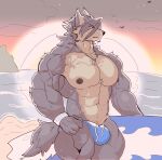  anthro barbell_piercing bulge canid canine canis clothing dark_nipples domestic_dog evening fur grey_body grey_fur grey_hair hair hi_res husky kouya_(morenatsu) majestictweive male mammal morenatsu muscular muscular_male nipples nordic_sled_dog piercing sand sea solo speedo spitz sun surfboard swimwear tan_body tan_fur water 