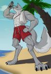  4_toes abs beach biceps canid canine canis claws clothing countershading digitigrade father_hill hi_res low-angle_view male mammal muscular muscular_male palm_tree pecs sand scar seaside swimming_trunks swimwear toe_claws toes towel tree wolf 