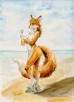 absurd_res anthro athletic athletic_female beach belly breast_squish breasts canid canine convenient_censorship crotch_tuft exhibitionism female fluffy fluffy_tail fox hi_res looking_at_viewer mammal normalt nude painting_(artwork) peeking_nipple sneakers_only solo squish tail traditional_media_(artwork) tuft watercolor_(artwork)