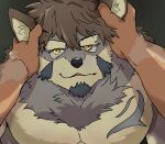  anthro canid canine canis duo erection fur grabbing_face grey_body grey_fur hand_on_head hi_res lifewonders male male/male mammal muscular muscular_male pecs tamainu55 temujin_(tas) tokyo_afterschool_summoners unavailable_at_source wolf yellow_eyes 