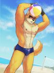  1boy abs animal_ears armpits arms_up bara beach beach_volleyball black_gloves blue_male_swimwear blue_sky blush cooper_krager english_commentary fingerless_gloves furry furry_male gloves goromokaa highres looking_at_viewer male_focus male_swimwear muscular muscular_male navel nipples ocean open_mouth pectorals remember_the_flowers scar scar_across_eye scar_on_arm scar_on_face scar_on_nose sky tail topless_male volleyball_net wolf_boy wolf_ears wolf_tail 