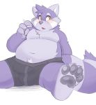  2017 ailurid anthro belly blush bulge clothing fur genital_outline hi_res lessertaro male mammal moobs navel overweight overweight_male penis_outline purple_body purple_fur red_panda simple_background sitting solo underwear white_background 