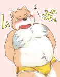  2020 blush bulge canid canine clothing eyes_closed grope humanoid_hands inuryu japanese_text kemono male mammal moobs overweight overweight_male solo_focus text underwear 