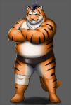  2020 anthro belly felid hi_res kemono male mammal noko_illust overweight overweight_male pantherine simple_background solo sumo tiger 