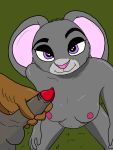  3:4 absurd_res breasts buckteeth canid canine dipstick_ears disney female fur genitals green_background grey_body grey_fur hi_res judy_hopps knot lagomorph leporid male mammal multicolored_ears penis pink_nose purple_eyes rabbit simple_background smile submissive teeth zootopia 