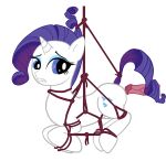 animated equid equine female friendship_is_magic genitals hasbro horn horse invalid_tag mammal miniraaaa my my_little_pony penis pony pussy rarity_(mlp) sex solo tail