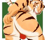  2017 anthro bulge butt clothing felid humanoid_hands kemono male mammal nanaki779 pantherine simple_background slightly_chubby solo tiger underwear 