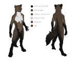  2017 5:4 anthro balls black_body black_fur brown_body brown_eyes brown_fur color_swatch english_text fur genitals ipoke male mammal marten model_sheet mustelid musteline navel nude penis solo text white_body white_fur 