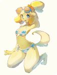  2020 3:4 animal_crossing anthro baburusushi bikini blue_eyes blush breasts canid canine canis clothed clothing domestic_dog eyewear female fur hair hi_res isabelle_(animal_crossing) looking_at_viewer mammal navel nintendo open_mouth shih_tzu simple_background solo swimwear toy_dog video_games yellow_body yellow_fur 