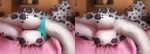  2019 anthro butt clothing felid female fluffy fluffy_tail fur genitals grey_body grey_fur inside leopard_spots lying mammal medaya nude on_side pantherine panties pussy snow_leopard solo spots spotte_fur underwear white_body white_fur 