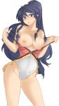  1girl areolae blue_eyes blue_hair blush braid breasts collarbone curvy eyebrows_visible_through_hair fire_emblem fire_emblem:_the_sacred_stones fire_emblem_heroes hair_between_eyes highres large_breasts long_hair looking_at_viewer navel nipples one-piece_swimsuit parted_lips partially_undressed ponytail solo swimsuit swimsuit_pull tana_(fire_emblem) thighs topless transparent_background tridisart undressing very_long_hair wide_hips 