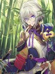  1boy bag bamboo bamboo_forest blue_eyes chinese_clothes csyko fate/grand_order fate_(series) forest gao_changgong_(fate) gift hair_between_eyes holding holding_gift looking_at_viewer male_focus nature offering short_hair silver_hair solo valentine 