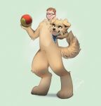 ambiguous_gender animate_inanimate anthro ball brown_hair canid canine canis clothing costume digitigrade domestic_dog duo eyewear fabric fur fursuit glasses hair hi_res holding_another holding_head holding_object human kerchief living_clothing living_costume living_fursuit looking_at_another male mammal removable_head rustyruu simple_background tan_body tan_fur tongue tongue_out