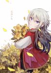  1boy absurdres black_hair blue_eyes bouquet chinese_clothes csyko fate/grand_order fate_(series) flower gao_changgong_(fate) gradient_hair grey_hair hair_between_eyes highres holding holding_flower long_hair male_focus multicolored_hair silver_hair solo younger 