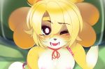  animal_crossing anthro areola breasts canid canine canis detailed_background domestic_dog female hi_res isabelle_(animal_crossing) mammal nintendo nipples open_mouth solo teeth tongue tsampikos video_games 