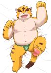  2020 5groo5 anthro asian_clothing belly blush bulge clothing east_asian_clothing felid fundoshi hi_res humanoid_hands japanese_clothing kemono lying male mammal moobs navel nipples overweight overweight_male pantherine pink_nose solo teeth tiger underwear 