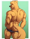  2020 anthro back_muscles bird_dog black_nose butt canid canine canis clothed clothing domestic_dog fur hi_res hunting_dog knuxlight labrador male mammal muscular muscular_male retriever simple_background solo standing topless underwear underwear_down yellow_body yellow_fur 