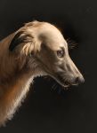  2020 black_nose brown_eyes canid canine canis digital_media_(artwork) domestic_dog feral headshot_portrait hi_res himeragoldtail mammal portrait whiskers 