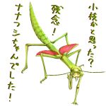 2013 6_limbs antennae_(anatomy) arthropod arthropod_abdomen arthropod_taur black_sclera black_text_border female gesture green_body green_text hand_gesture insect insect_taur japanese_text mandibles orange_eyes phasmid pink_wings seirei simple_background solo stick_insect taur text v_sign white_background wings