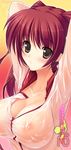  blush breasts brown_eyes cleavage kousaka_tamaki large_breasts nipples red_hair see-through solo to_heart_2 twintails wet wet_clothes yoshiwo 