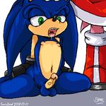  amy_rose sonic_team sonic_the_hedgehog sonicdash tagme 