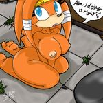  sonic_team sonicdash tagme tikal_the_echidna 