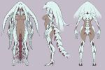  1girl angel_at_dusk arms_at_sides ass breasts carapace claws dark-skinned_female dark_skin flat_color from_behind from_side full_body highres medium_breasts monster_girl multiple_views navel nipples official_art reference_sheet simple_background solo standing tail tentacle_hair toguromaki_kumoyuki 