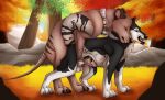 anal anal_penetration balls black_body black_fur brown_body brown_fur canid canine dasyuromorph day duo eyes_closed fangs feral feral_on_feral feral_penetrated feral_penetrating feral_penetrating_feral from_behind_position fur genitals grass hi_res killthe_demon male male/male male_penetrated male_penetrating male_penetrating_male mammal marsupial narrowed_eyes outside penetration penile penile_penetration penis penis_in_ass penis_tip plant recently_extinct_species rock sex side_view teeth thylacine thylus tongue tongue_out tree white_balls white_body white_fur 