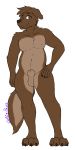  1:2 2020 4_toes alpha_channel animal_genitalia anthro balls barefoot biped brown_balls brown_body brown_eyes brown_fur brown_hair brown_nose canid canine canis chest_tuft claws countershade_torso countershading digital_media_(artwork) fluffy fluffy_tail fur genitals hair hand_on_hip hi_res male mammal nude signature standing toes tuft wolf wolfie-pawz 