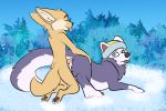  anal anthro anthro_on_feral bestiality butt canid canine canis chillyphillix digital_media_(artwork) domestic_dog duo erection everest_(paw_patrol) eyes_closed female fennec feral fox fur genitals husky looking_back male male/female male_penetrating mammal nordic_sled_dog nude paw_patrol penetration penis sex smile spitz tongue tongue_out 