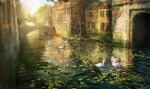  absurdres bare_tree bird building commentary_request day grass highres lily_pad nao1524 no_humans original outdoors overgrown river scenery stone_bridge swan tree water window 