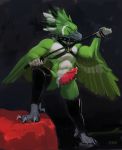  anthro avian bdsm bird bodily_fluids bondage bound claws clothing collar countershade_torso countershading cum feathers genital_fluids genitals green_body green_feathers hi_res leggings legwear male penis rubber solo spiked_collar spikes talons whip wings zoke 