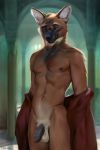  2020 anthro balls canid canine chunie clothing detailed_background digital_media_(artwork) flaccid foreskin genitals hi_res humanoid_genitalia humanoid_penis inside looking_down male mammal maned_wolf navel nipples nude penis smile solo standing uncut undressing 