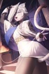  1girl absurdres ancient_greek_clothes animal_ears black_gloves blue_eyes cat_ears cat_girl cat_tail cipher_(atticus)_(honkai:_star_rail) cipher_(honkai:_star_rail) commentary_request dress fingerless_gloves gloves greco-roman_clothes grey_hair highres honkai:_star_rail honkai_(series) official_alternate_costume open_mouth short_hair_with_long_locks ske4682 solo tail thighs white_dress white_hood 