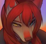 anthro canid canine canis deedrake ear_piercing female hair heterochromia icon legend_of_ahya mammal moody piercing portrait red_hair red_nose solo taylor_renee_wolford_(darkflamewolf) wolf