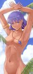  1girl bare_shoulders breasts closed_mouth dark_skin earrings fushigi_no_umi_no_nadia highres jewelry looking_at_viewer nadia navel neck_ring necklace nude popo_agaga purple_eyes short_hair smile solo 