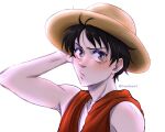  1boy :/ black_hair brown_eyes commentary_request hand_on_own_head hat highres itsnailasart male_focus monkey_d._luffy one_piece raised_eyebrow red_vest scar scar_on_cheek scar_on_face solo spanish_commentary sun_hat twitter_username vest 